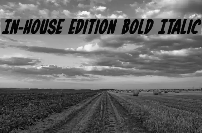 In-House Edition Bold Italic Font examples