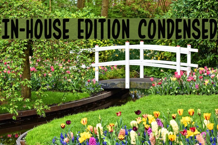 In-House Edition Condensed Font examples