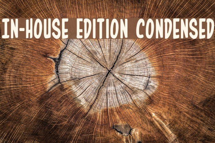 In-House Edition Condensed Font examples
