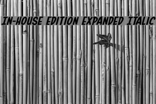 In-House Edition Expanded Italic フォント examples