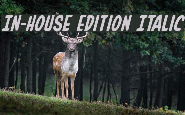 In-House Edition Italic Font examples