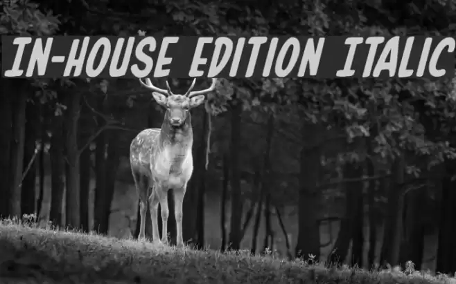 In-House Edition Italic Font examples