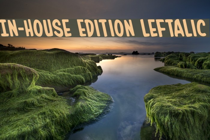 In-House Edition Leftalic Font examples