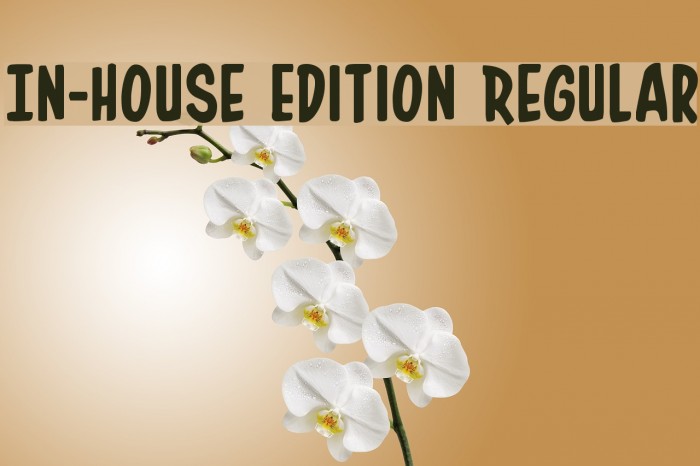 In-House Edition Regular Font examples