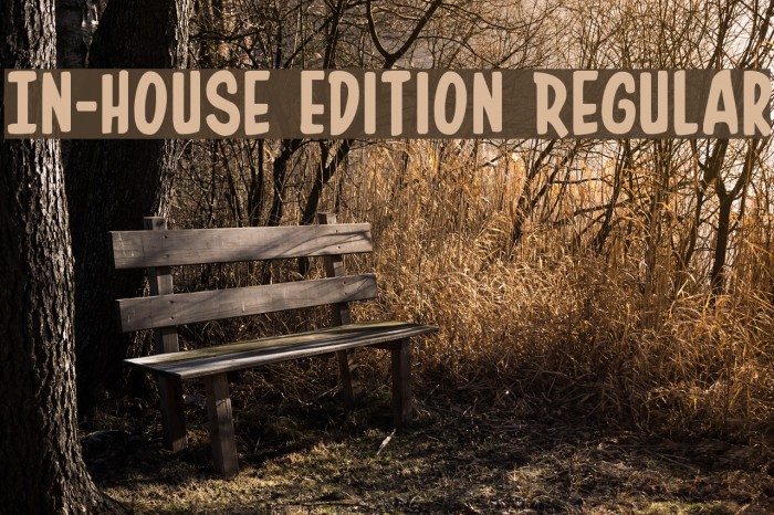In-House Edition Regular Font examples