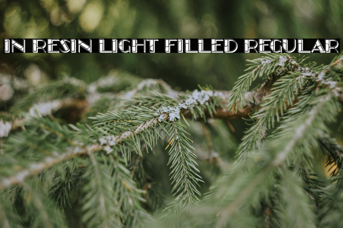 In Resin Light Filled Regular Example 3