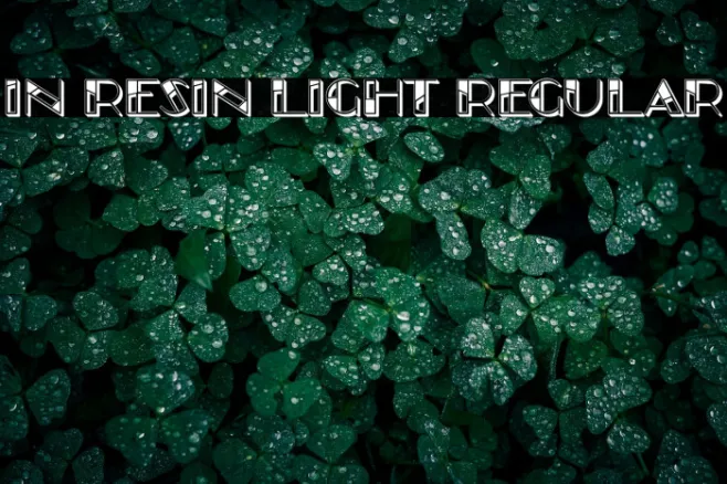 In Resin Light Regular Example 1