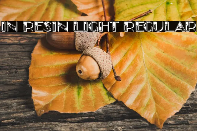 In Resin Light Regular Example 2