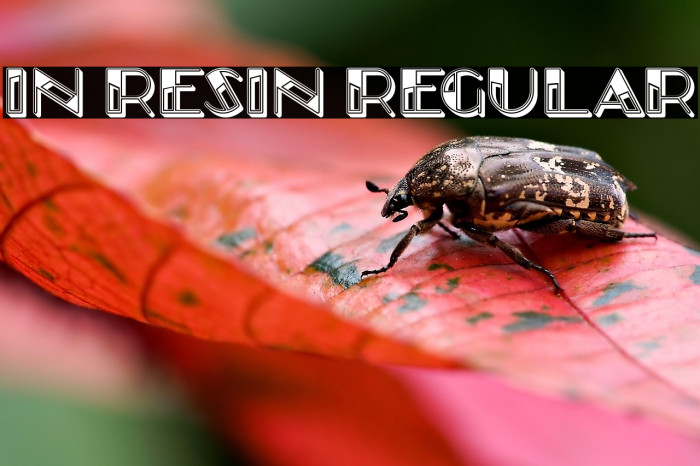 In Resin Regular Example 2