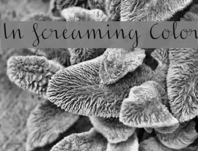 In Screaming Color Font examples