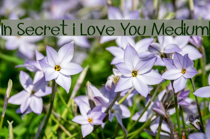 In Secret i Love You Medium Font examples