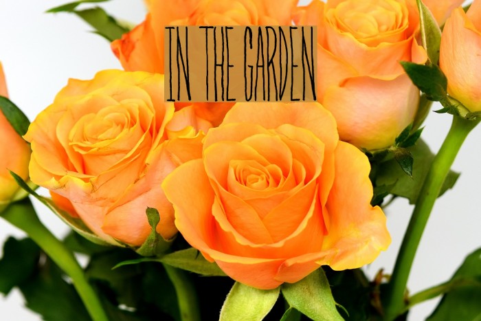 In The Garden Font examples