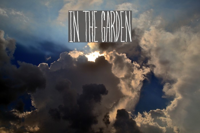 In The Garden Font examples