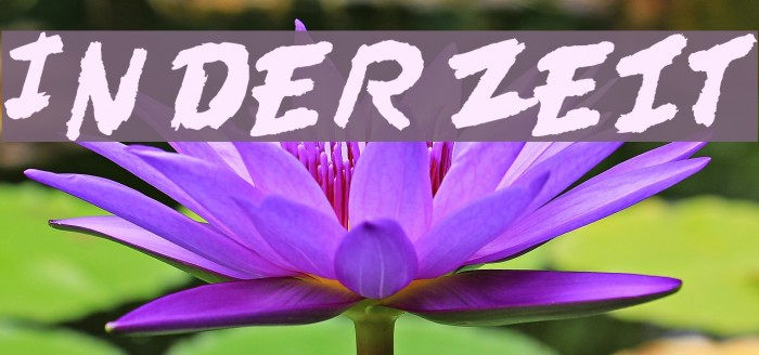 In der Zeit Example 2