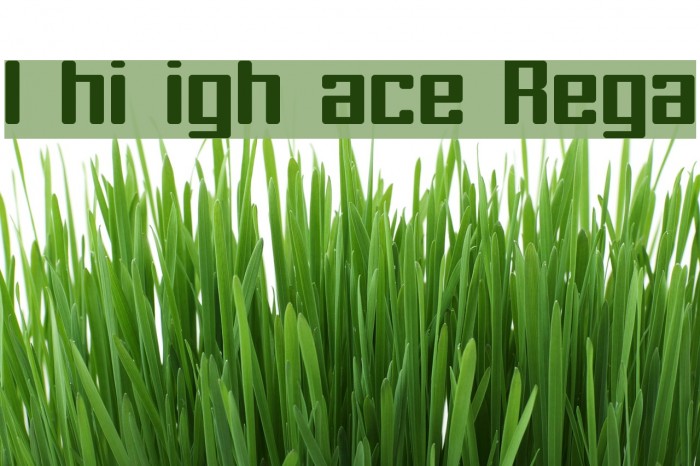 In his right place Regular Font examples