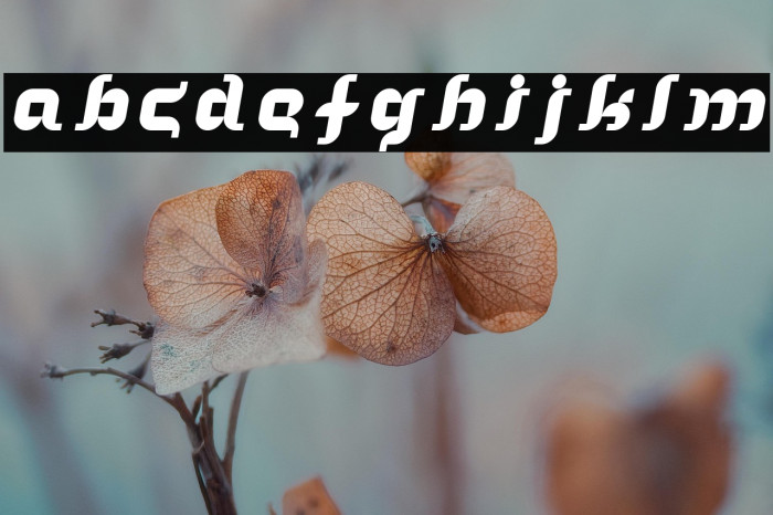 In the arms of sleep Example 3