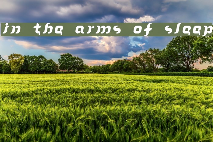 In the arms of sleep Font examples