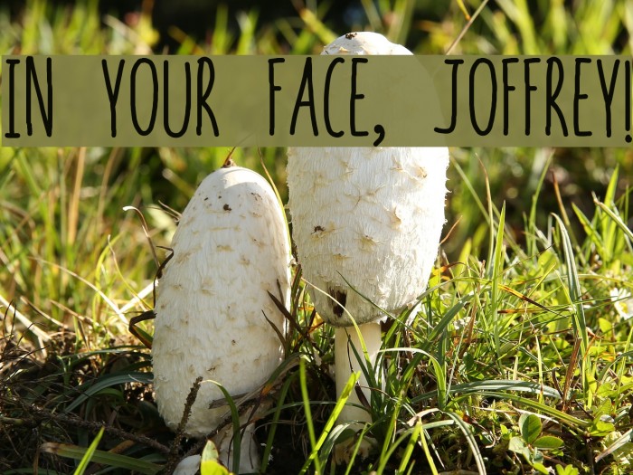 In your face, Joffrey! Font examples