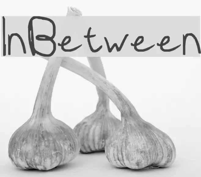 InBetween Font examples