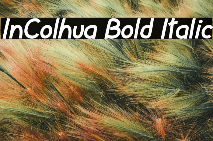 InColhua Bold Italic Example 1