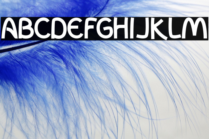 InColhua Bold Example 1