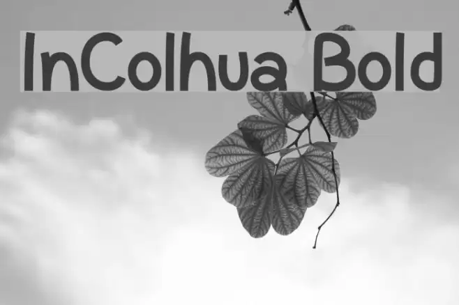 InColhua Bold Font examples
