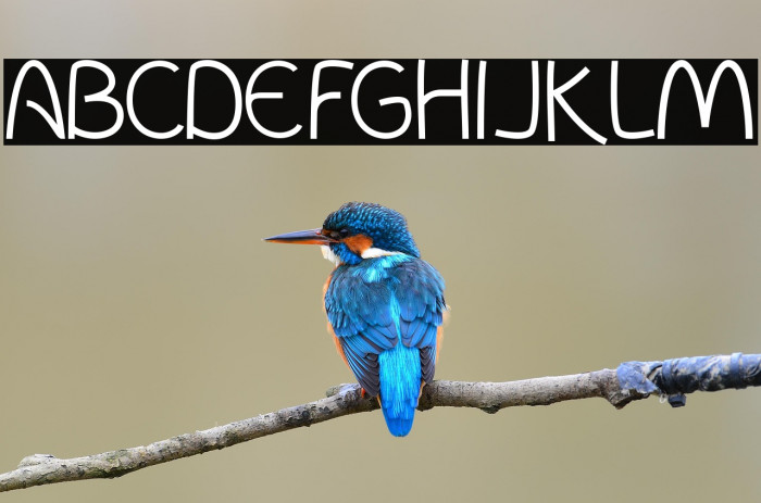 InColhua Light Example 3