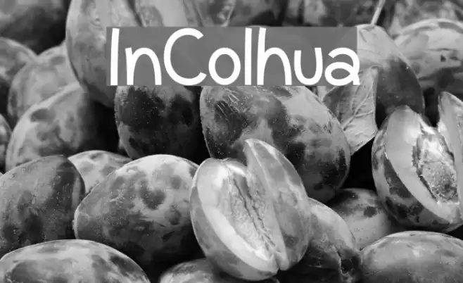 InColhua Font examples