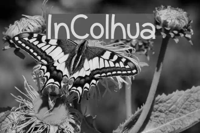 InColhua Font examples