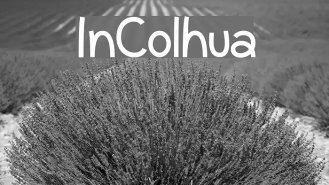 InColhua Font examples