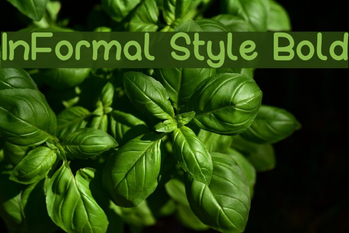 InFormal Style Bold Font examples