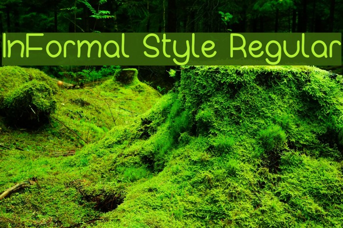 InFormal Style Regular Font examples