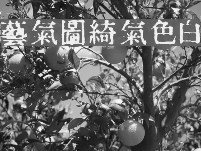 InKanji Font examples