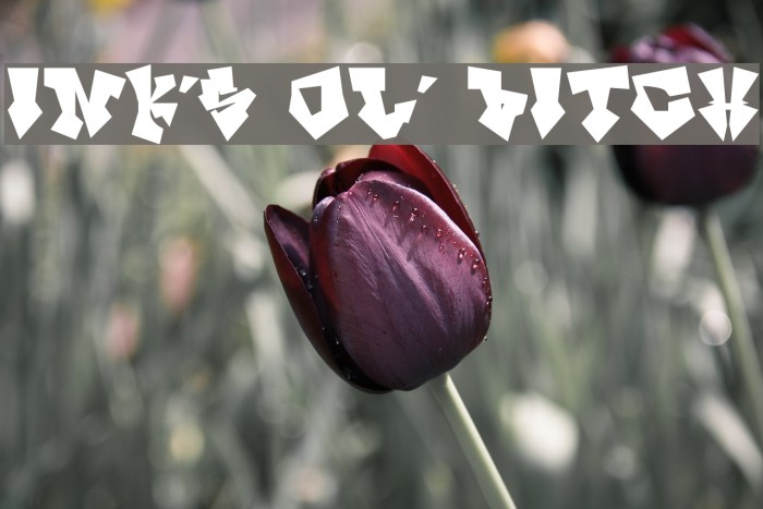 InK's ol' Bitch Font examples
