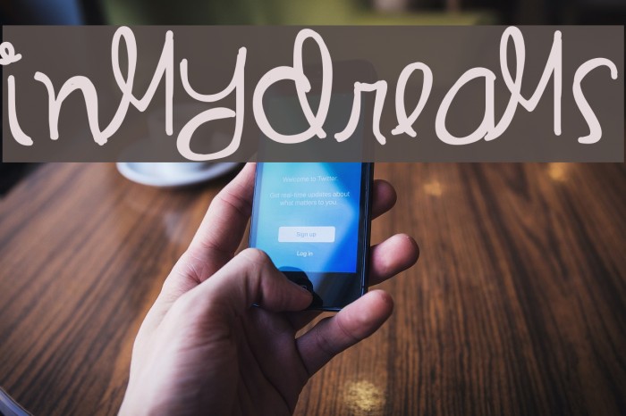 InMyDreams Example 1