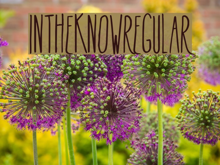 InTheKnow-Regular Example 1