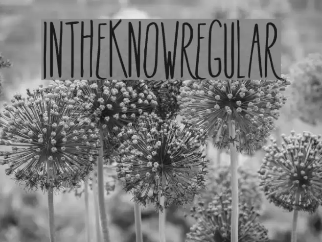 InTheKnow-Regular Font examples