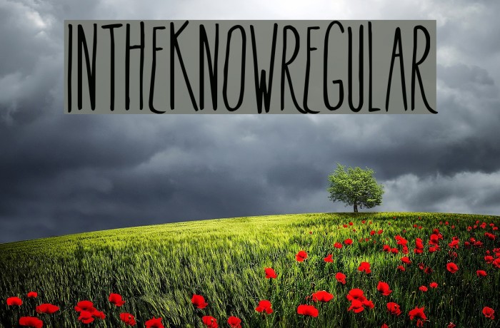 InTheKnow-Regular Example 2