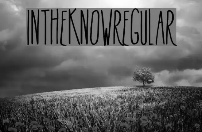 InTheKnow-Regular Font examples