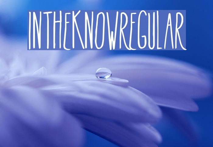 InTheKnow-Regular Example 3