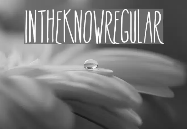InTheKnow-Regular Font examples