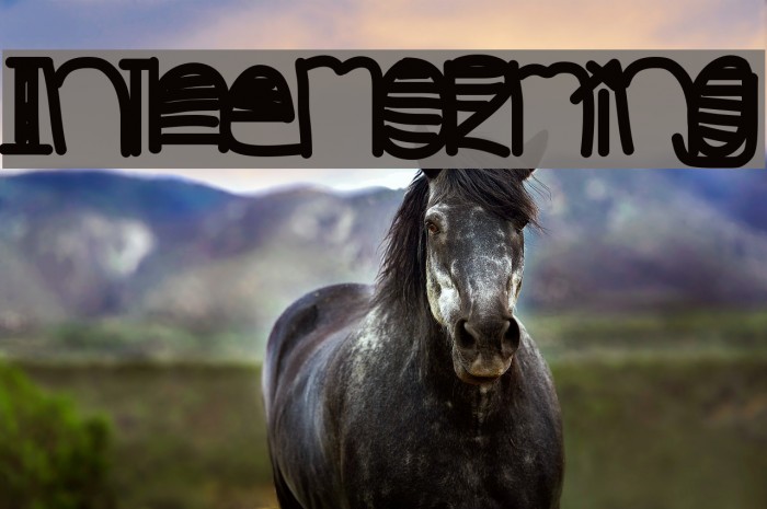InTheMorming Font examples