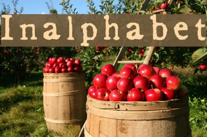 Inalphabet Example 2