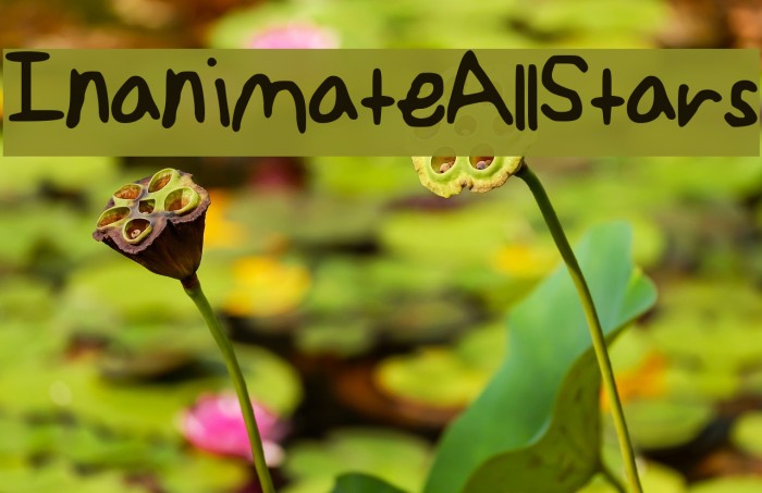 Inanimate_AllStars Example 1