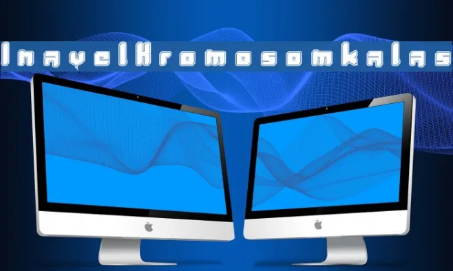 InavelKromosomkalas Example 1