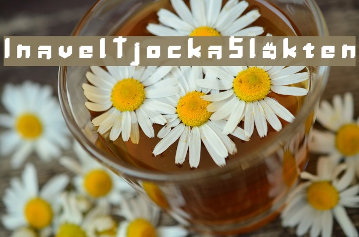 InavelTjockaSläkten Font examples