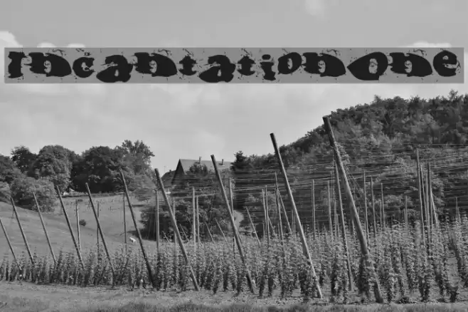 IncantationOne Font examples