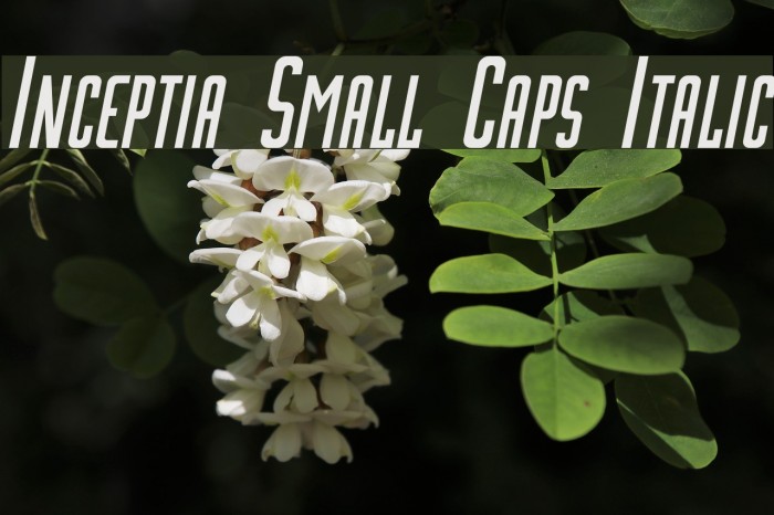 Inceptia Small Caps Italic Font examples