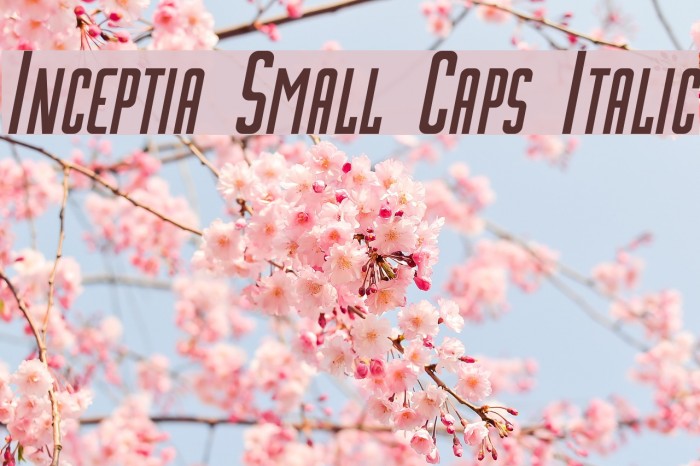 Inceptia Small Caps Italic Font examples