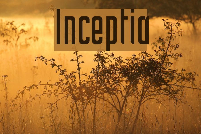 Inceptia Font examples